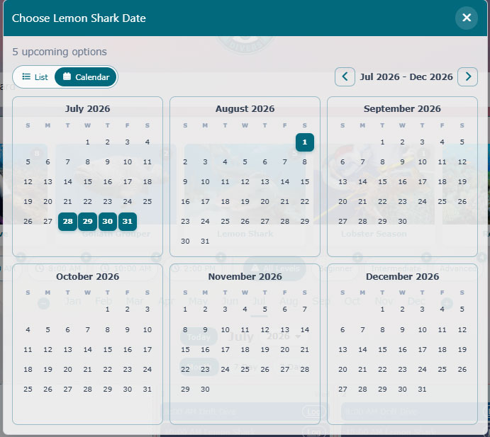 Multi-month activity availability calendar for an upcoming dive activity